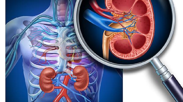 吃金匱腎氣丸吃多久見效