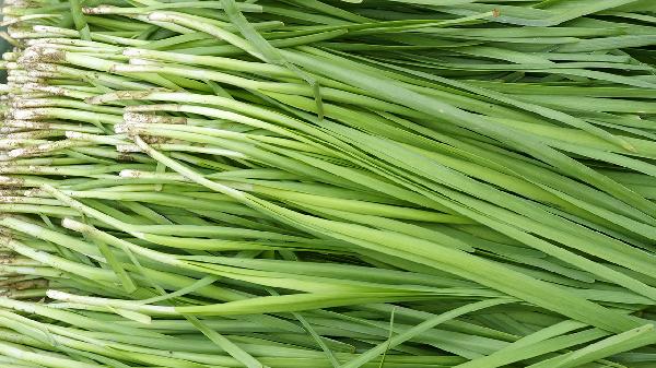 韭菜怎么做不燒胃