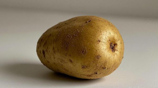 土豆如何催芽最快