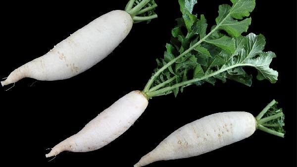 白蘿卜生吃有什么好處