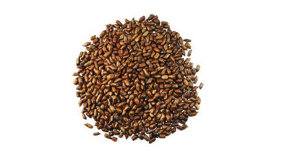 決明子對睡眠有好處嗎