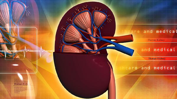 金匱腎氣丸吃多久能見(jiàn)效