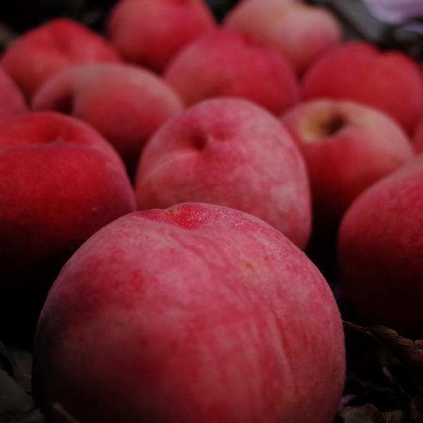 什么水果最适合泡酒