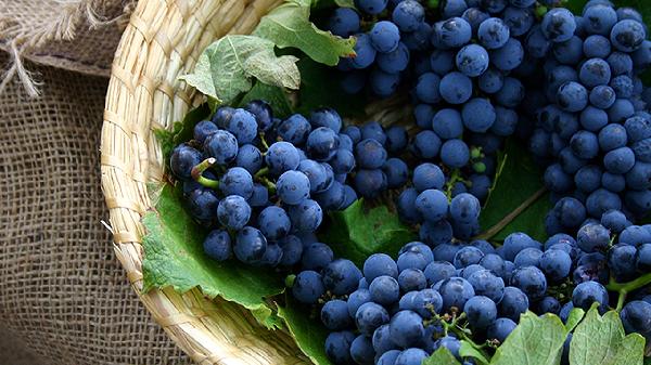 總膽固醇偏高不能吃什么食物和水果