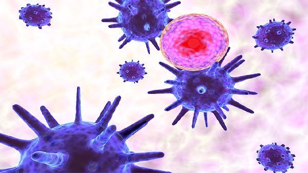 冬瓜是癌細胞最喜歡吃的嗎