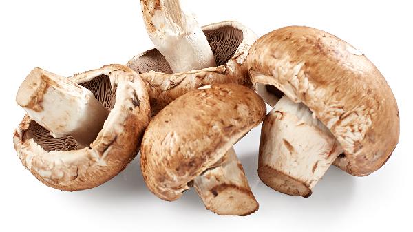 如何判断香菇是否熟了