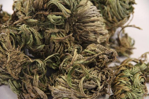 例假來了中藥繼續(xù)喝嗎