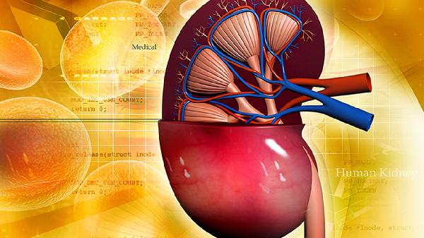 促腎上腺皮質(zhì)激素是檢查什么