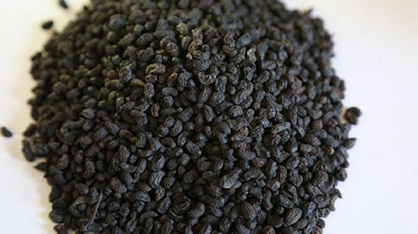 中藥熬的時候要洗嗎