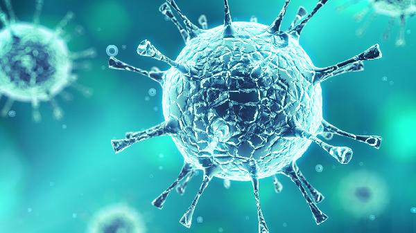 禽流感的主要傳播途徑是什么病毒感染