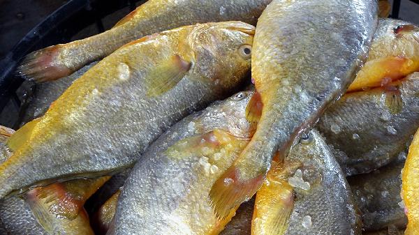 微波爐加熱食物有害健康嗎