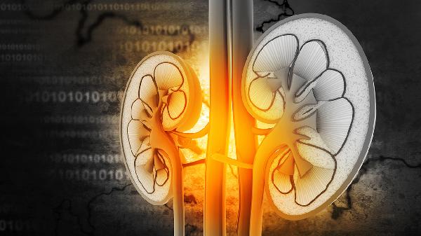 腎功能不全到底能不能治好呀