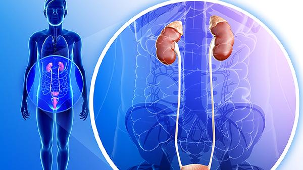 蓯蓉補(bǔ)腎丸是中成藥嗎