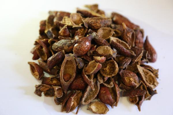 活血止痛的中藥有哪些