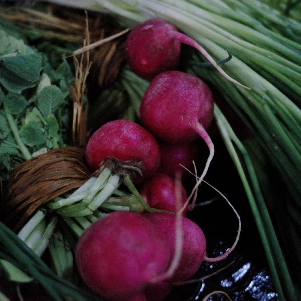 蘿卜配冬瓜有什么功效