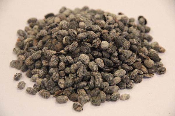 活血通經(jīng)的中藥方