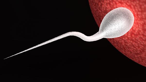 人工授精需要什么手续和证件