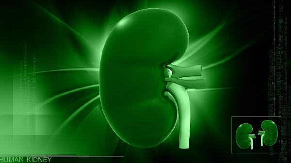 腎病吃了十個(gè)蝦沒(méi)事吧