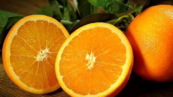 膽固醇高有哪些食物