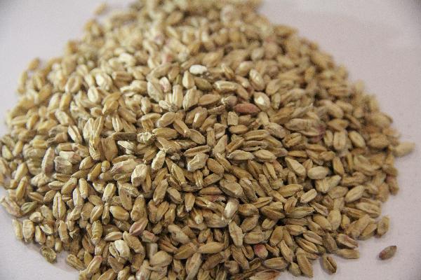 吃補腎的中藥大便稀是怎么回事