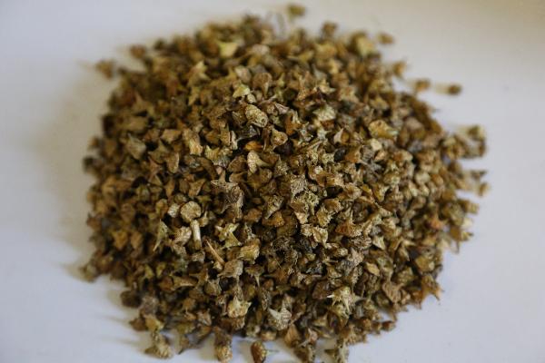 脂必妥片是中药吗