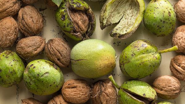 山核桃怎樣才能讓它裂開