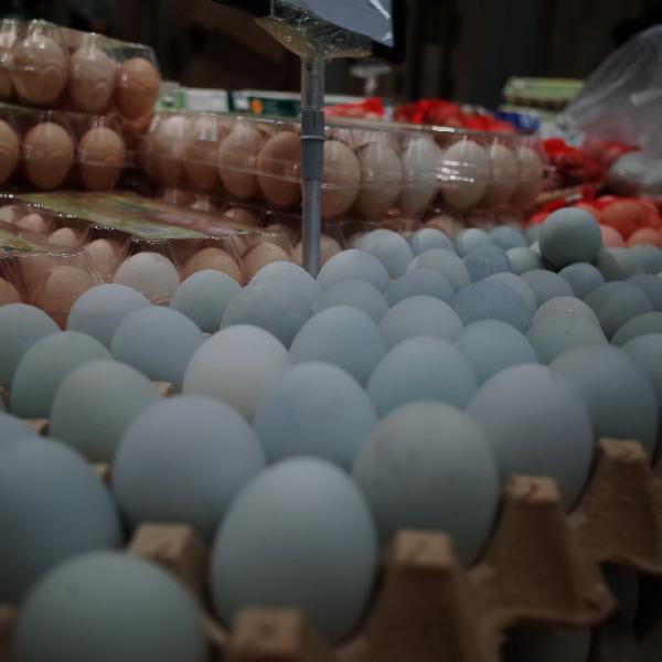 練腹肌要多吃雞蛋嗎