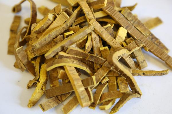 減脂肪的中藥有哪些