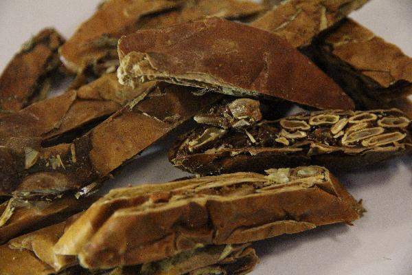 吃中藥人會(huì)長(zhǎng)胖嗎 喝中藥人會(huì)長(zhǎng)胖嗎