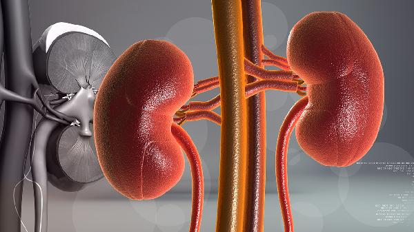 肾移植需要多少钱