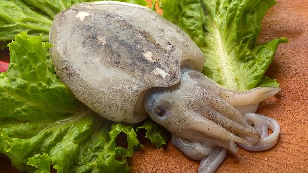 補脾健脾第一食物墨魚干怎么吃