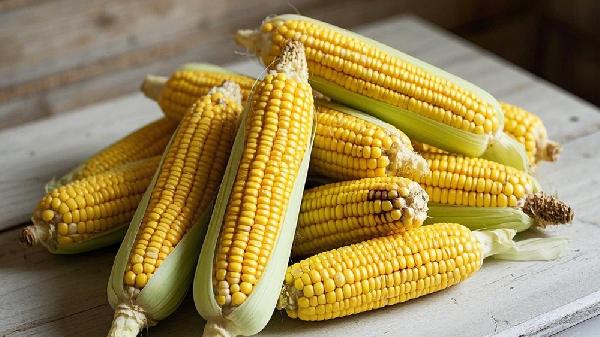 怎么樣剝玉米粒又快又好