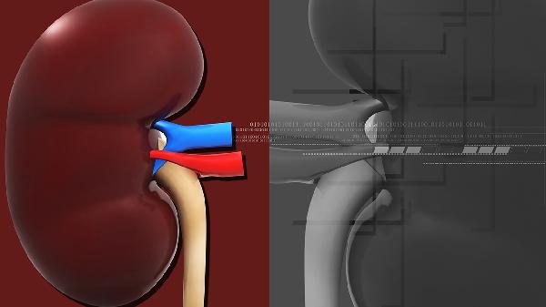 腎功能不全肌酐高尿酸高能治好嗎能活多久