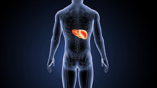 小兒肝損害能治好嗎