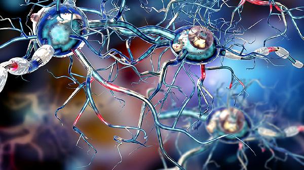 神經(jīng)性皮炎怎么治才能好得快呢