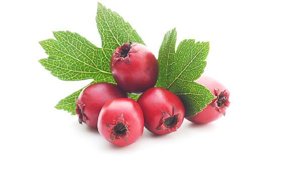 為啥吃山楂的人都瘦