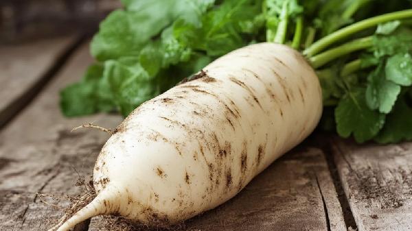 白蘿卜燉冬瓜有什么好處