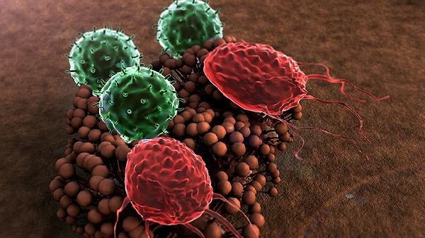 尿常規細菌超標是怎么回事