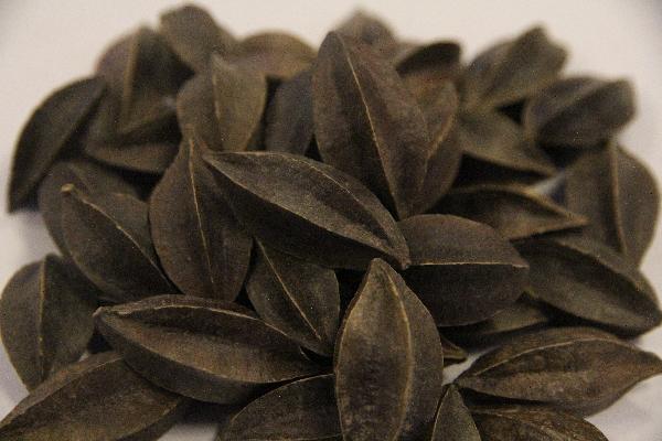 把中藥打成粉末再熬