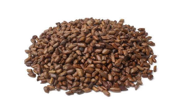 決明子和蕎麥的枕頭哪個好