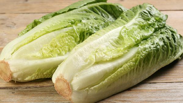 大量生菜怎么保存才不容易壞