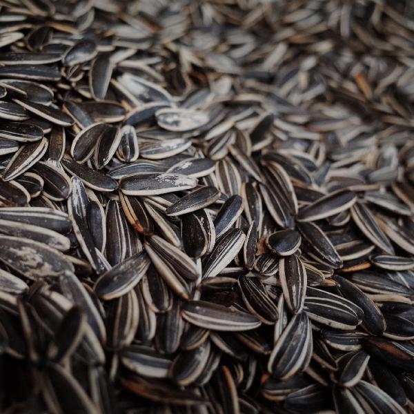 炒瓜子如何才能不掉皮