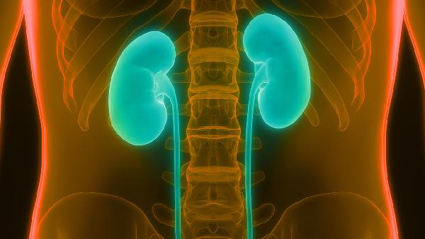 金匱腎氣丸吃多久就停一下