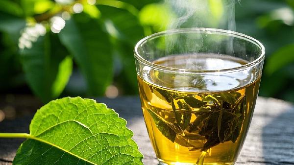 經(jīng)常用茶水漱口好嗎