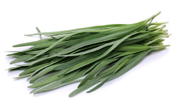 什么食物最有飽腹感能量低的