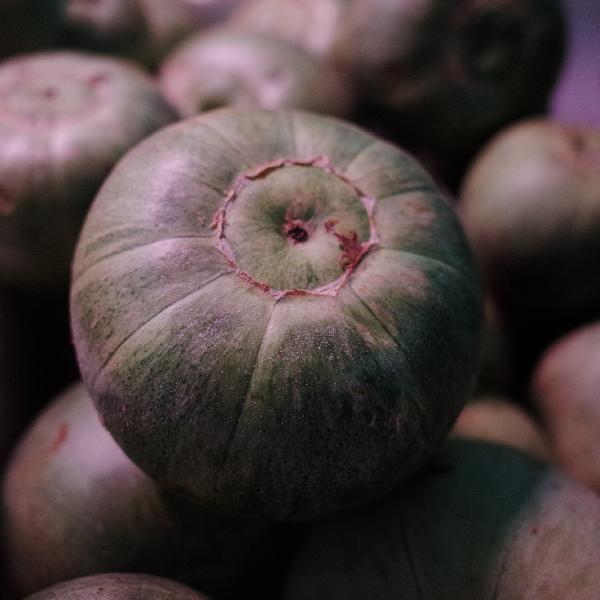 一個甜瓜的熱量大概是多少