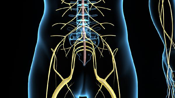 神經(jīng)性皮炎的發(fā)病原因主要與什么有關(guān)系