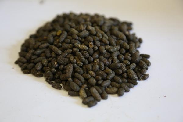 藥物性牙齦增生是指什么