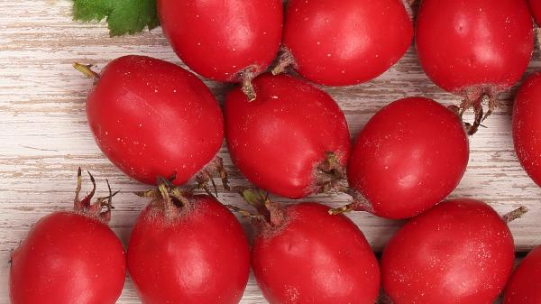 吃什么是活血化瘀的食物