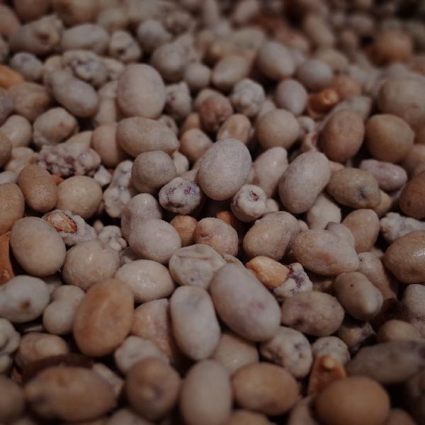 新鮮的花生怎么保存時(shí)間長(zhǎng)